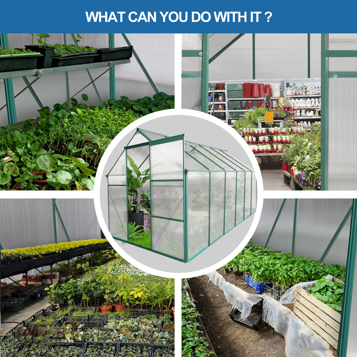 6 x 12 ft Walk-In Polycarbonate Greenhouse with Aluminum Frame & Raised Base, Green