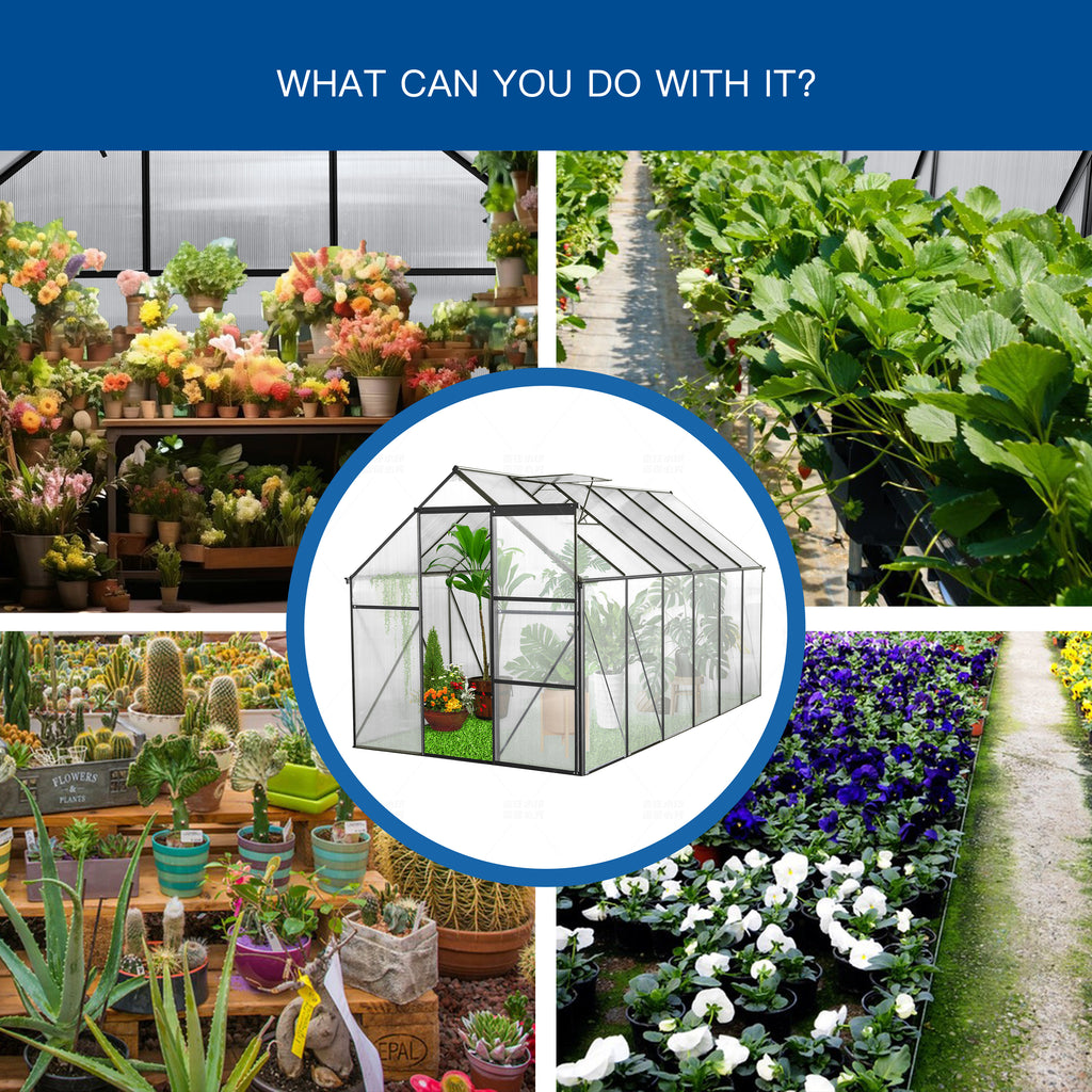 6 x 12 ft Walk-In Polycarbonate Greenhouse with Aluminum Frame & Raised Base, Black